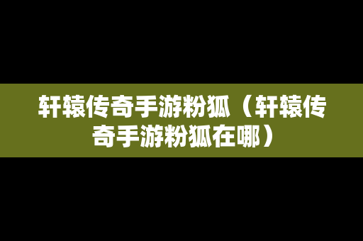 轩辕传奇手游粉狐（轩辕传奇手游粉狐在哪）