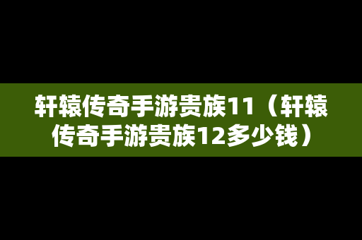 轩辕传奇手游贵族11（轩辕传奇手游贵族12多少钱）