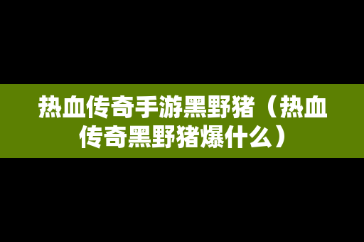 热血传奇手游黑野猪（热血传奇黑野猪爆什么）