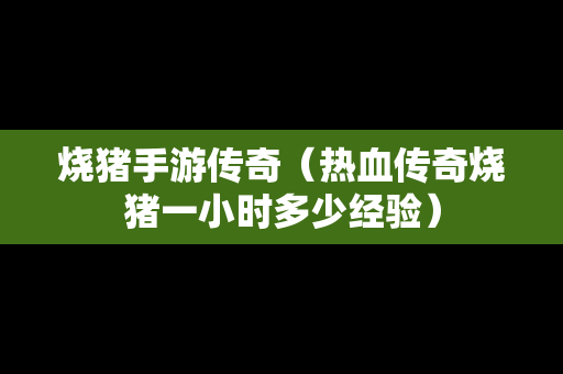 烧猪手游传奇（热血传奇烧猪一小时多少经验）