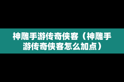 神雕手游传奇侠客（神雕手游传奇侠客怎么加点）