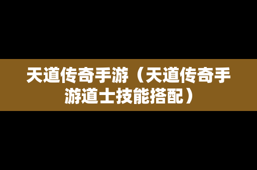 天道传奇手游（天道传奇手游道士技能搭配）