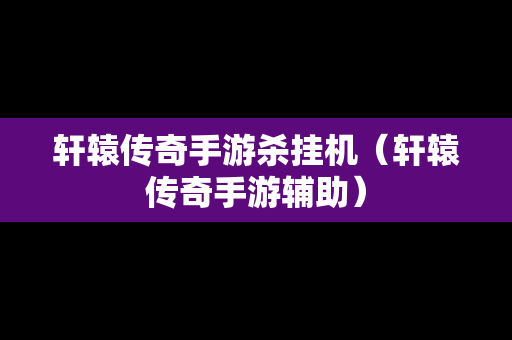 轩辕传奇手游杀挂机（轩辕传奇手游辅助）