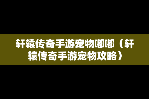 轩辕传奇手游宠物嘟嘟（轩辕传奇手游宠物攻略）