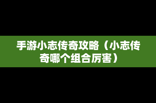 手游小志传奇攻略（小志传奇哪个组合厉害）