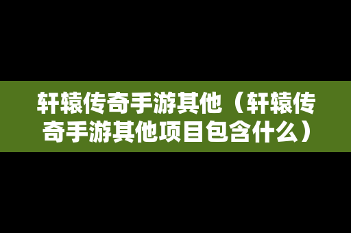 轩辕传奇手游其他（轩辕传奇手游其他项目包含什么）