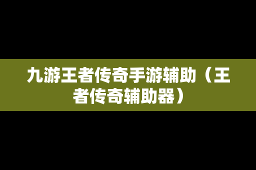 九游王者传奇手游辅助（王者传奇辅助器）