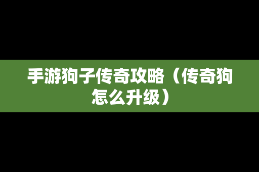 手游狗子传奇攻略（传奇狗怎么升级）