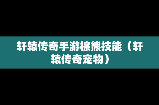 轩辕传奇手游棕熊技能（轩辕传奇宠物）