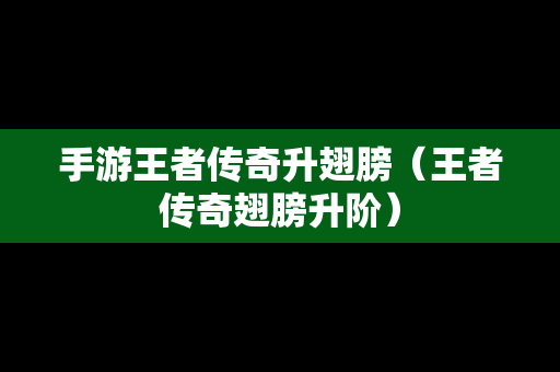 手游王者传奇升翅膀（王者传奇翅膀升阶）