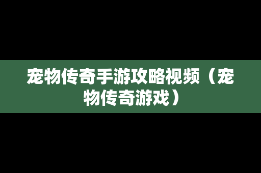 宠物传奇手游攻略视频（宠物传奇游戏）