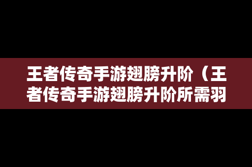 王者传奇手游翅膀升阶（王者传奇手游翅膀升阶所需羽毛数量表）